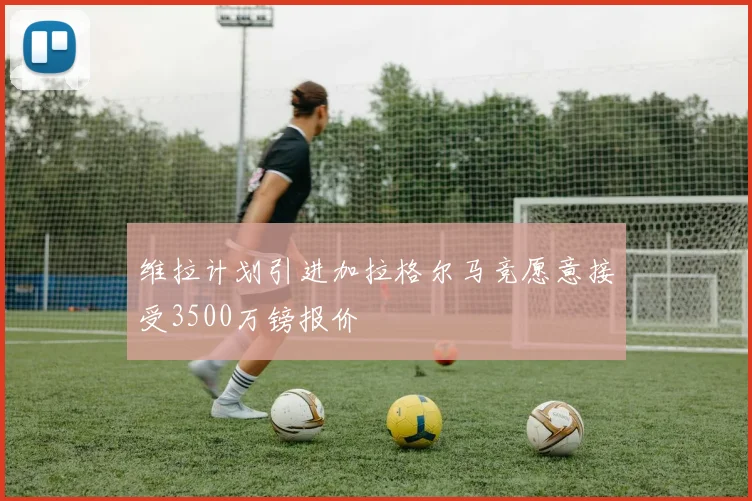维拉计划引进加拉格尔马竞愿意接受3500万镑报价