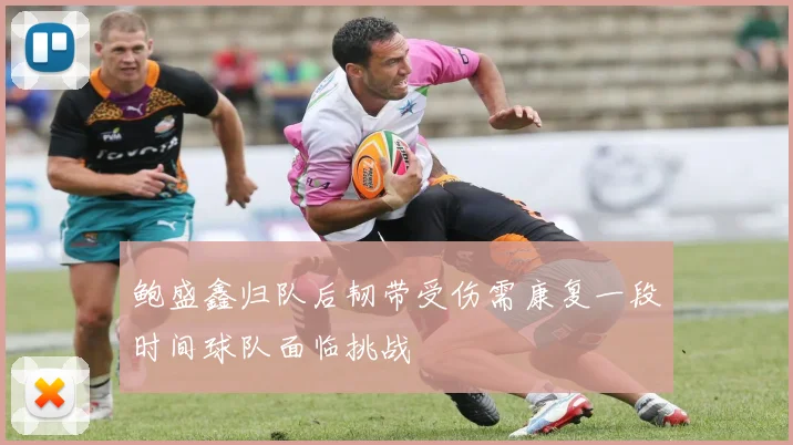 鲍盛鑫归队后韧带受伤需康复一段时间球队面临挑战