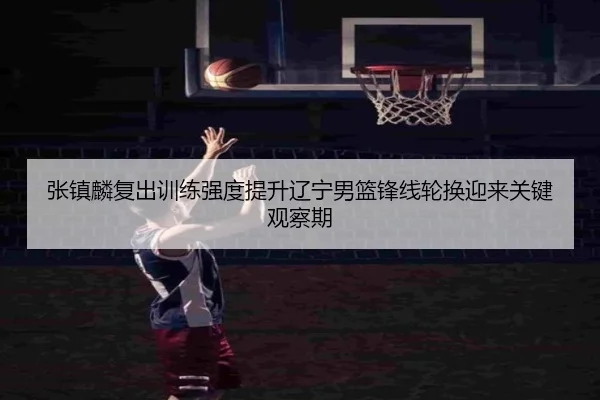 张镇麟复出训练强度提升辽宁男篮锋线轮换迎来关键观察期 - leyu.com